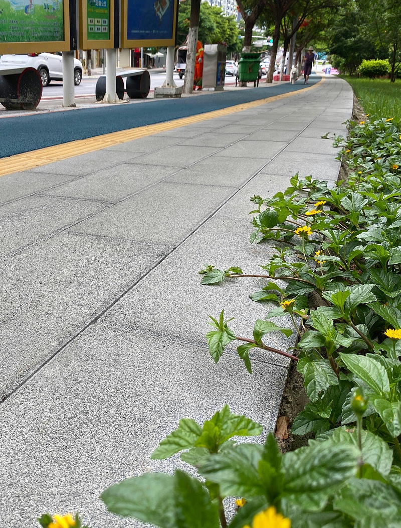城市更新透水磚